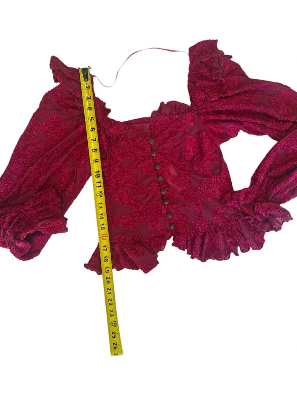 Anthropologie Velvet Burnout Raspberry Red Lace Peasant Puff-Sleeve Blouse XS